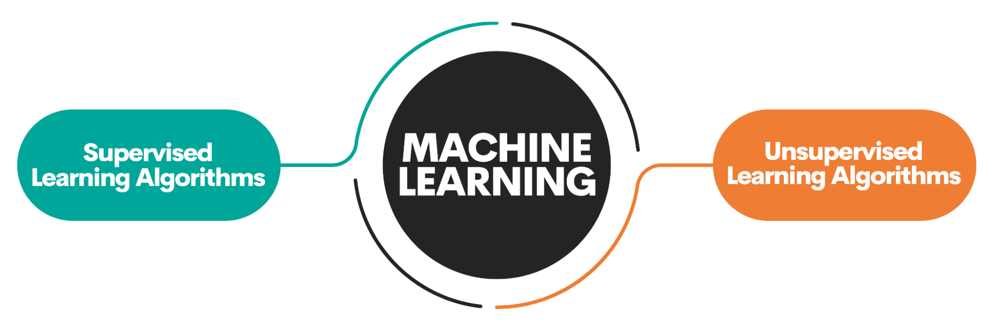 A Beginner's Guide to the Top 10 Machine Learning Algorithms