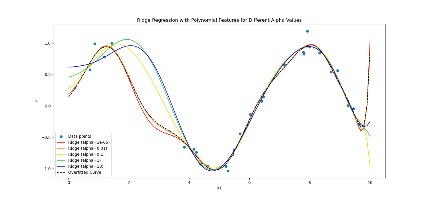 WTF is Regularization and What is it For?